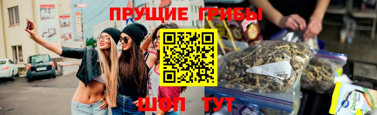 Псилоцибиновые грибы Cubensis  Вход с VPN  Каспийск 
